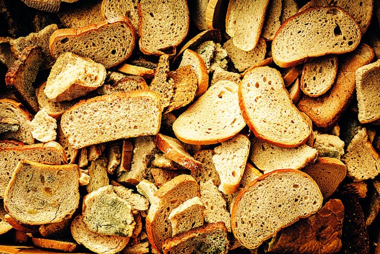 Schováváte starých chléb pro zvířata? Pozor na červotoče spížního.