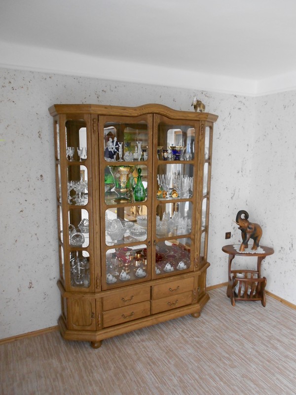 Skleník vynikne v obývacím pokoji, kde poslouží především k vystavování parádního skla, porcelánu a drobných dekorativních či sbírkových předmětů.