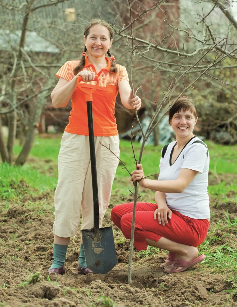 Zasa te Strom Panidomu cz