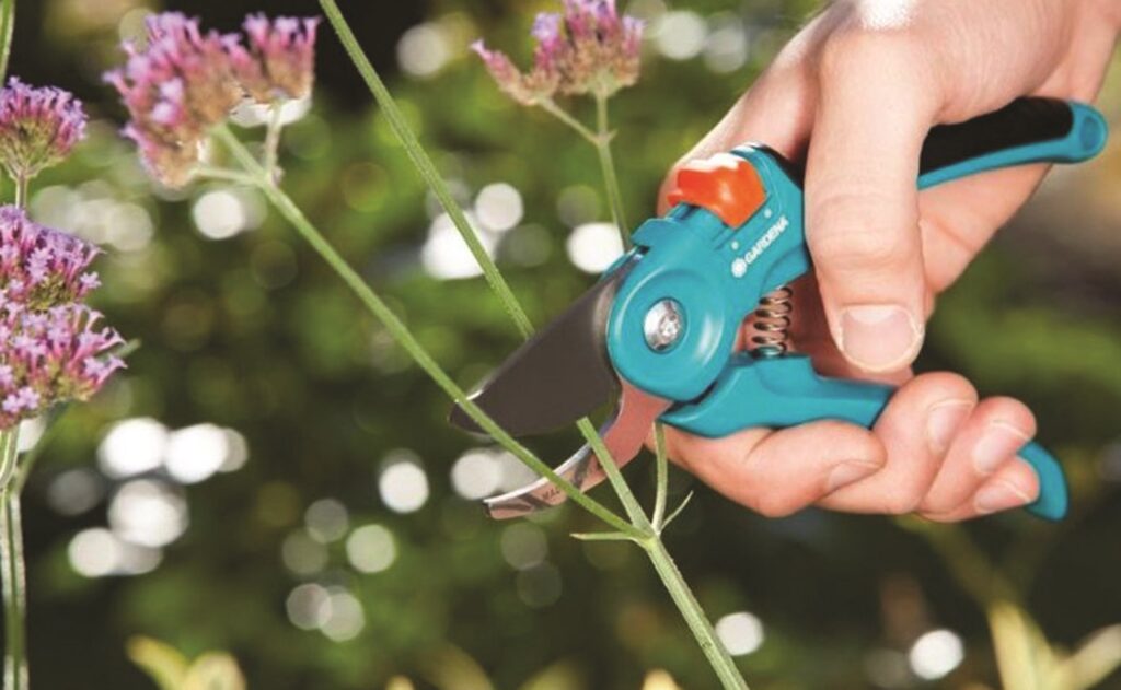 Zast ihn te To Panidomu cz